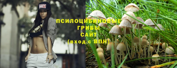 шишки Навашино
