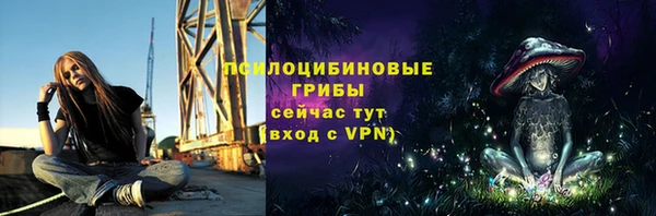 шишки Навашино
