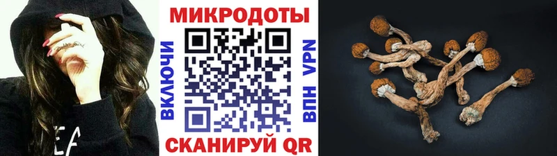 MEGA ONION цена Княгинино Галлюциногенные грибы ЛСД